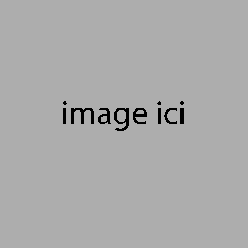 image ici